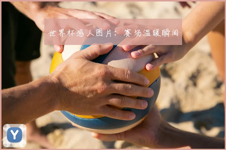 世界杯感人图片：赛场温暖瞬间