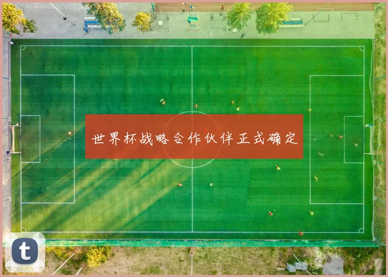 世界杯战略合作伙伴正式确定