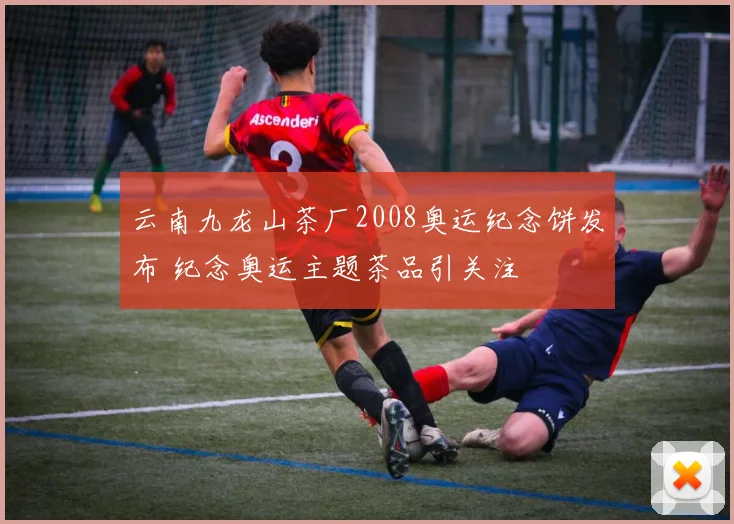 云南九龙山茶厂2008奥运纪念饼发布 纪念奥运主题茶品引关注
